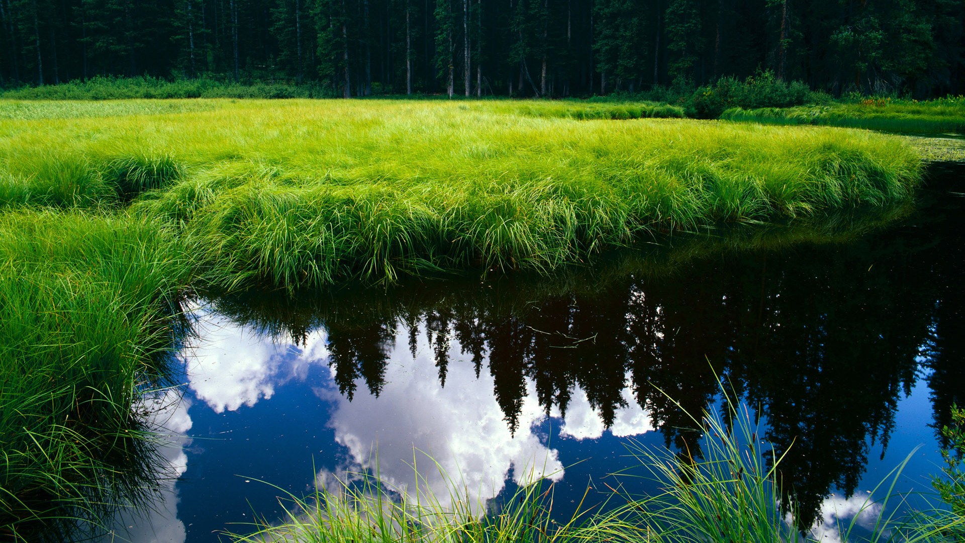 中国足球各级联赛电视转播质量提升，国内足球节目