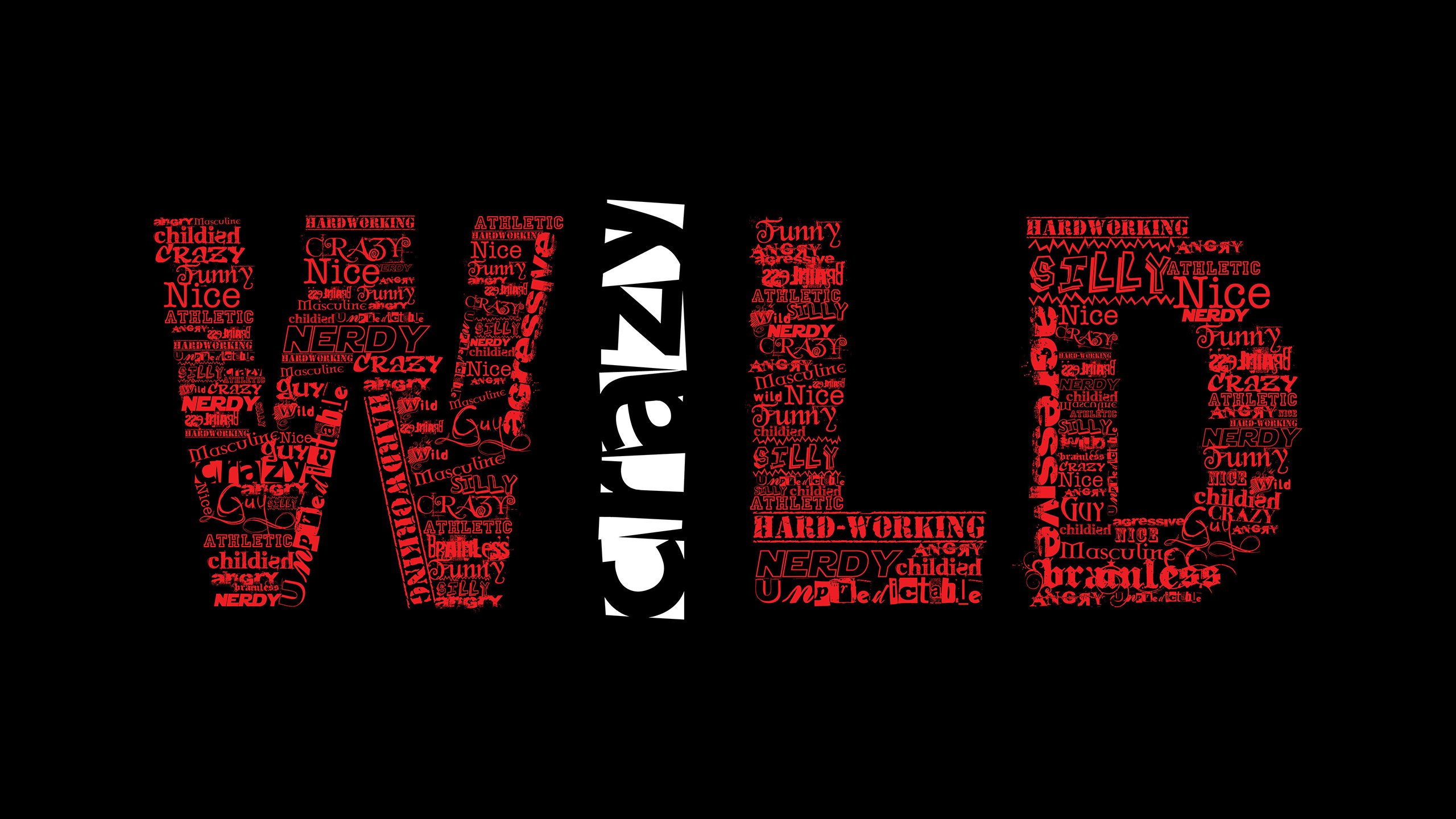 伊朗马术协会与国际马术联合会合作，举办国际马术交流活动，促进技术交流。