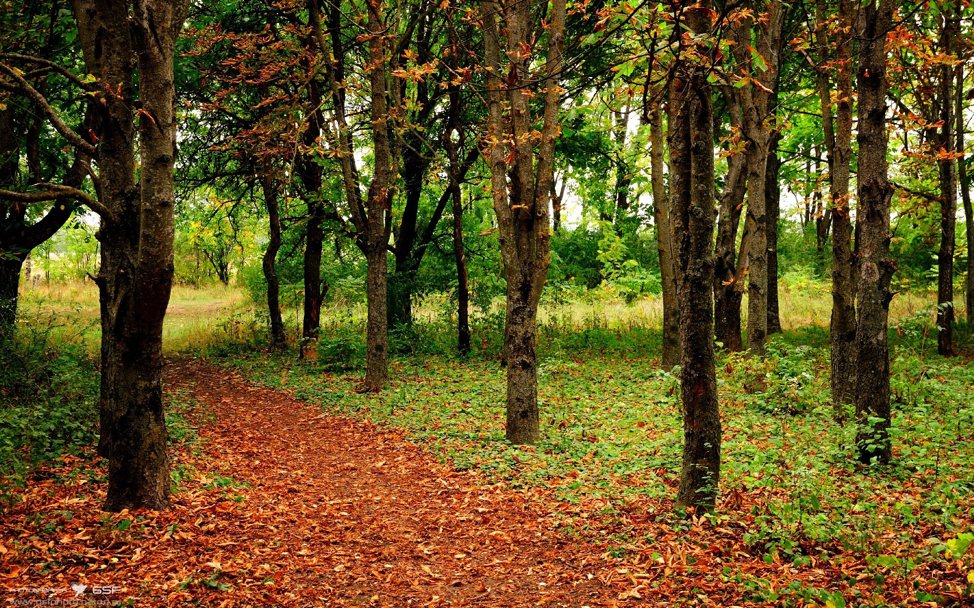 kaiyun体育综合-国际足球交流合作持续深化，推动中国足球融入全球足球生态，国际足球改革