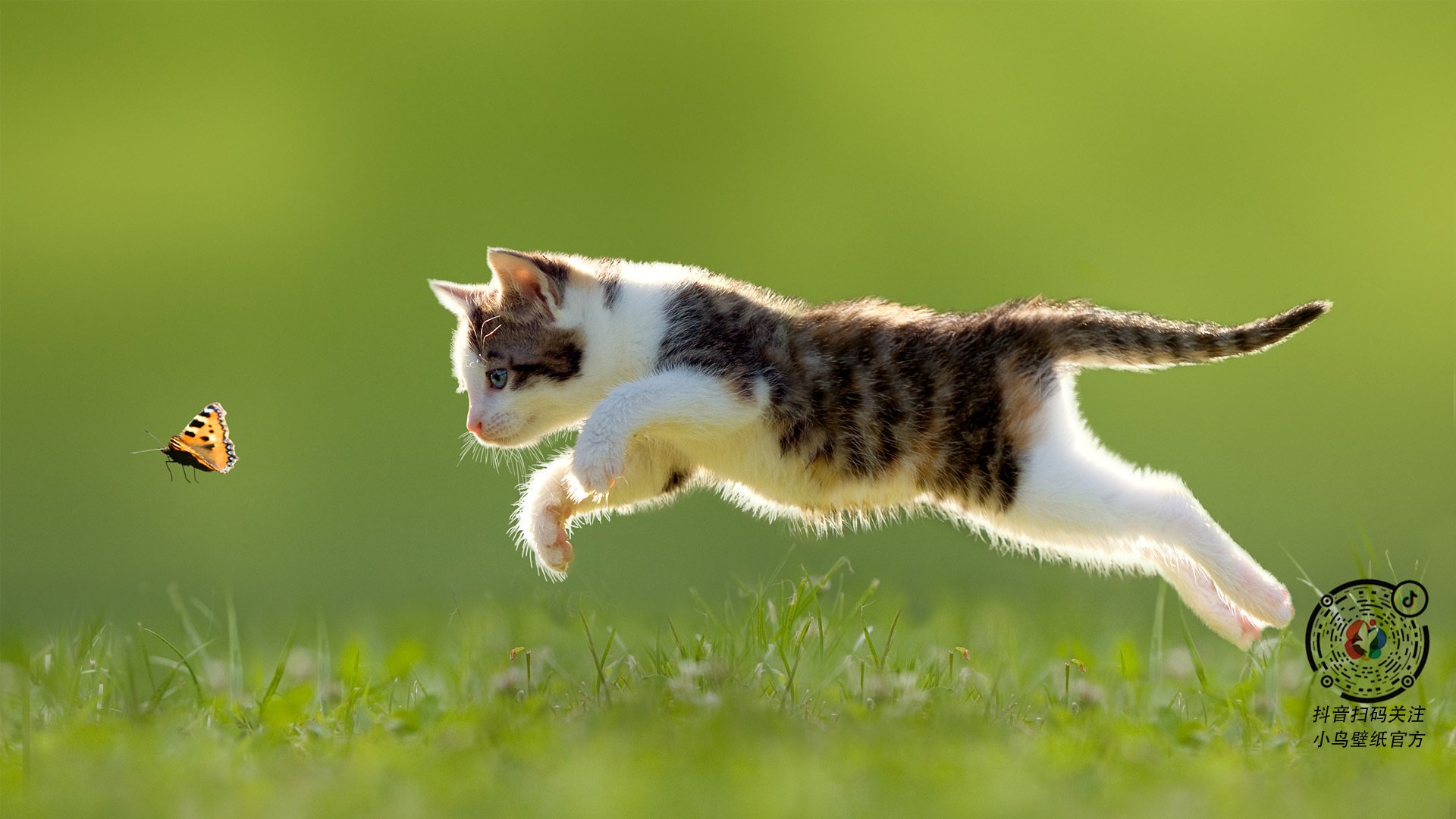 小镇传统扒竖赛,文化与力量的精彩对决