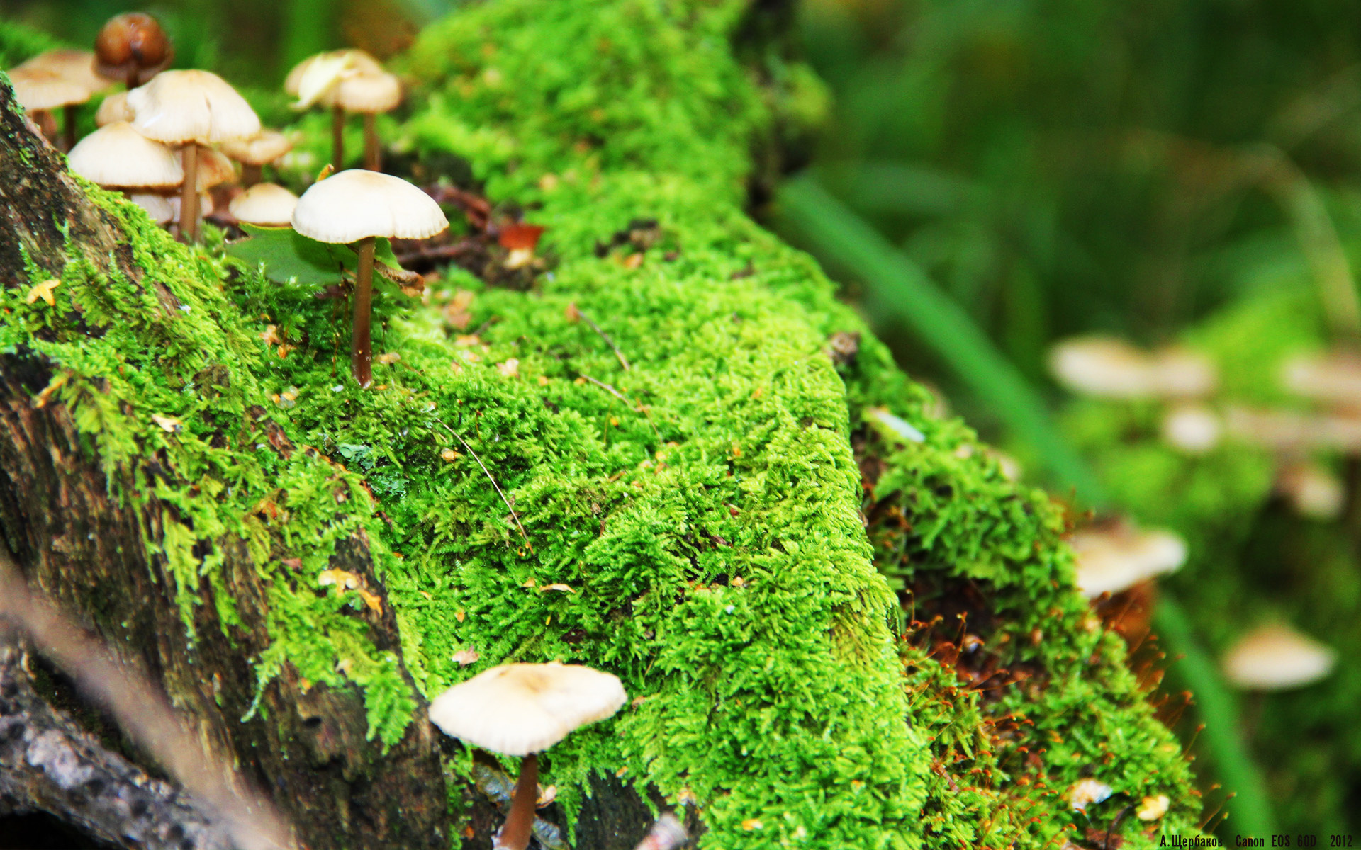 特色全民趣味足球，乡村村民的运动狂欢，趣味足球赛