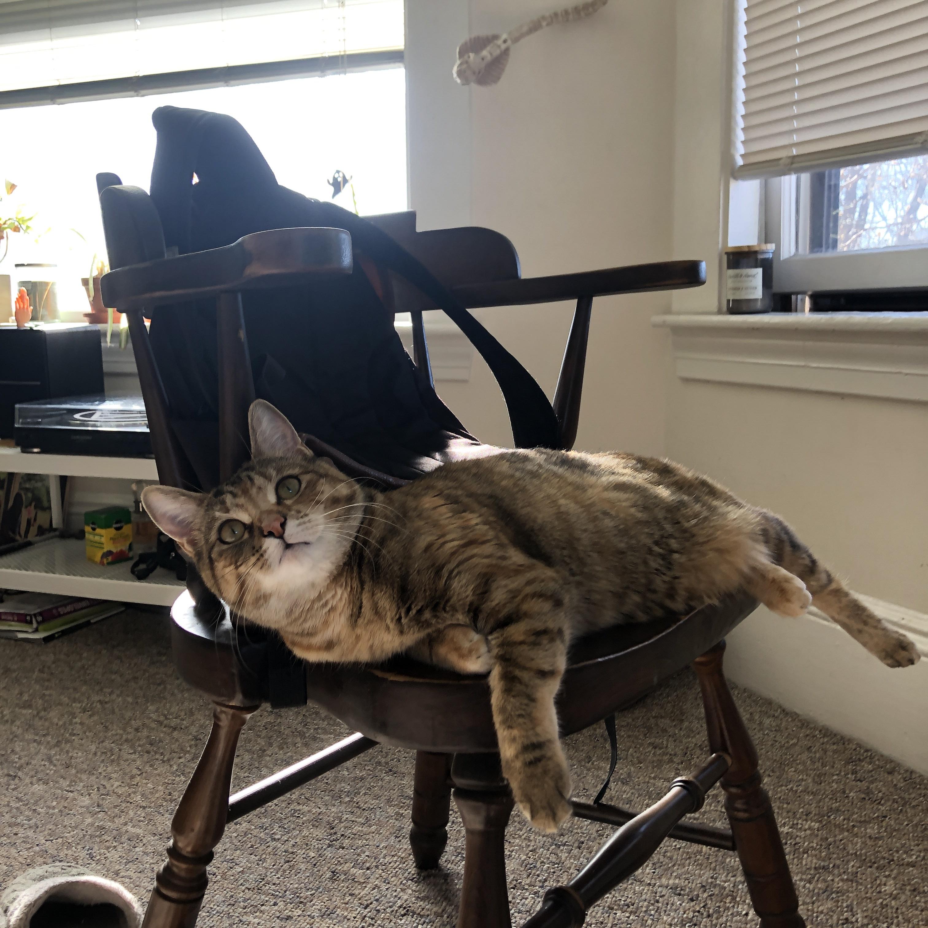 英超经典比赛，精彩入球和神级扑救刷出新高度，英超精彩进球