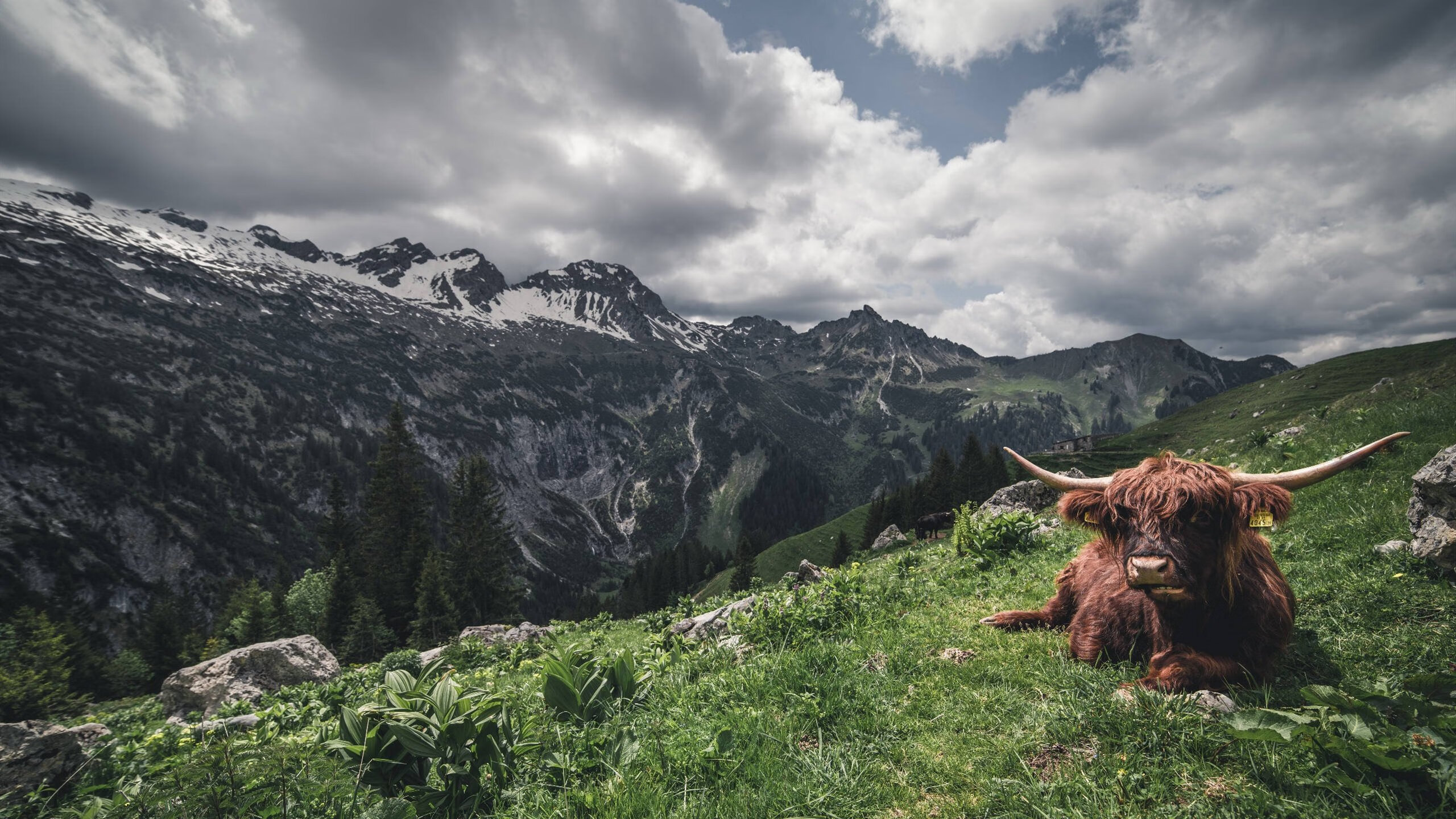 开云体育APP下载-英雄联盟“青春力量”高校线下赛火爆进行，英雄联盟高校大赛活动
