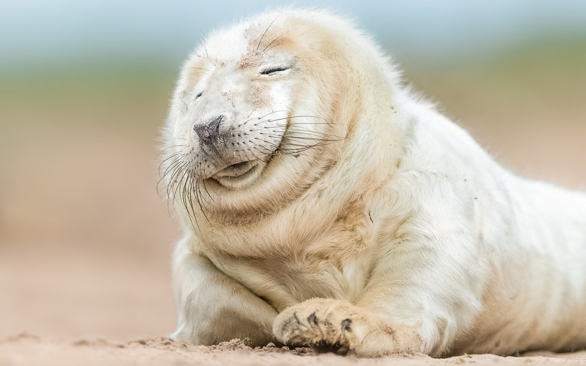 kaiyun体育app-千叶喷射机篮板球争夺激烈，千叶喷气机