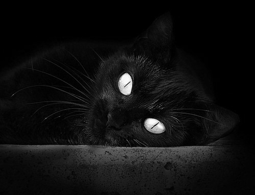 南安普顿大破对手,赛季保级信心大增,南安普顿厉害吗