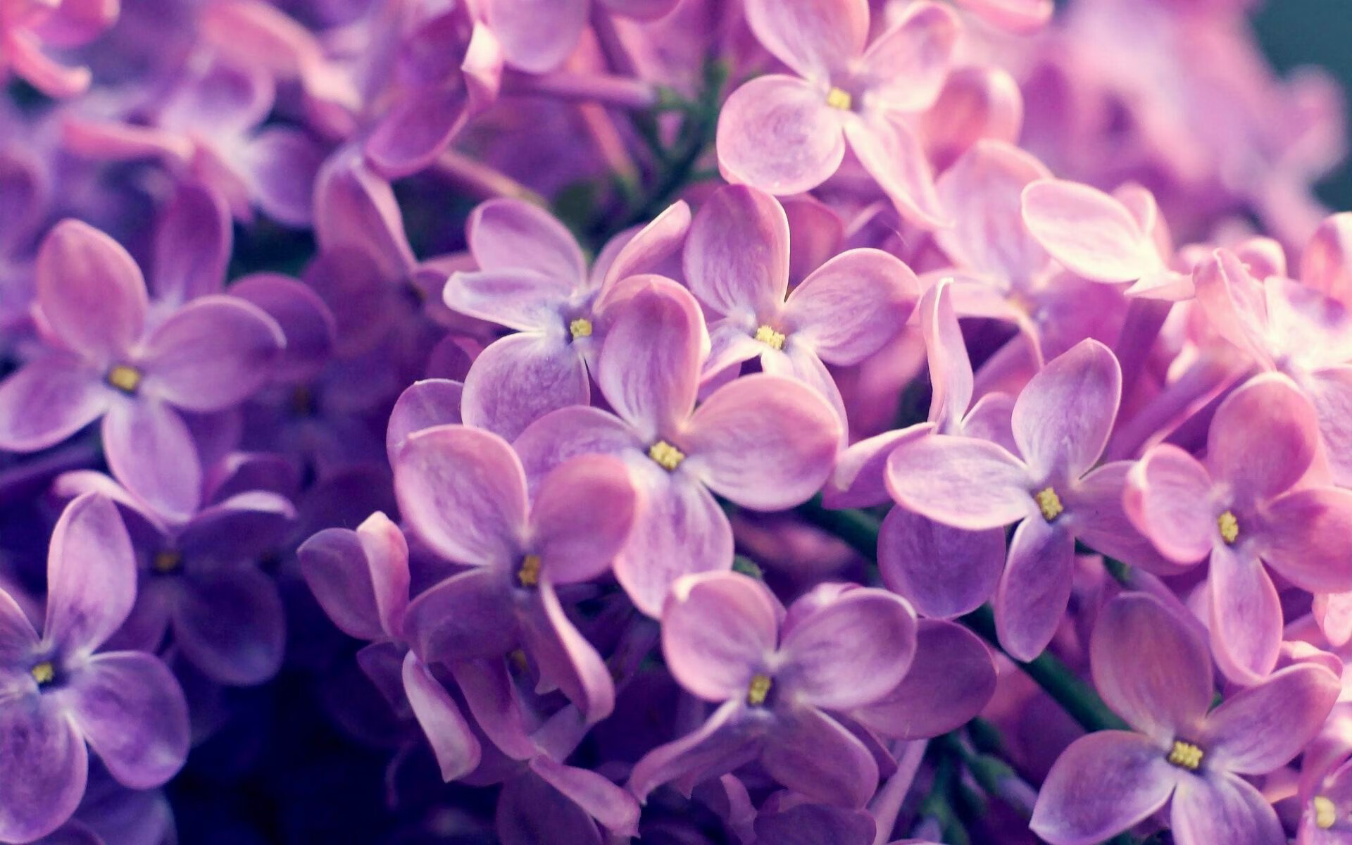 开云官网-国足战绩是否受限于战术体系缺乏创新，国足技战术分析