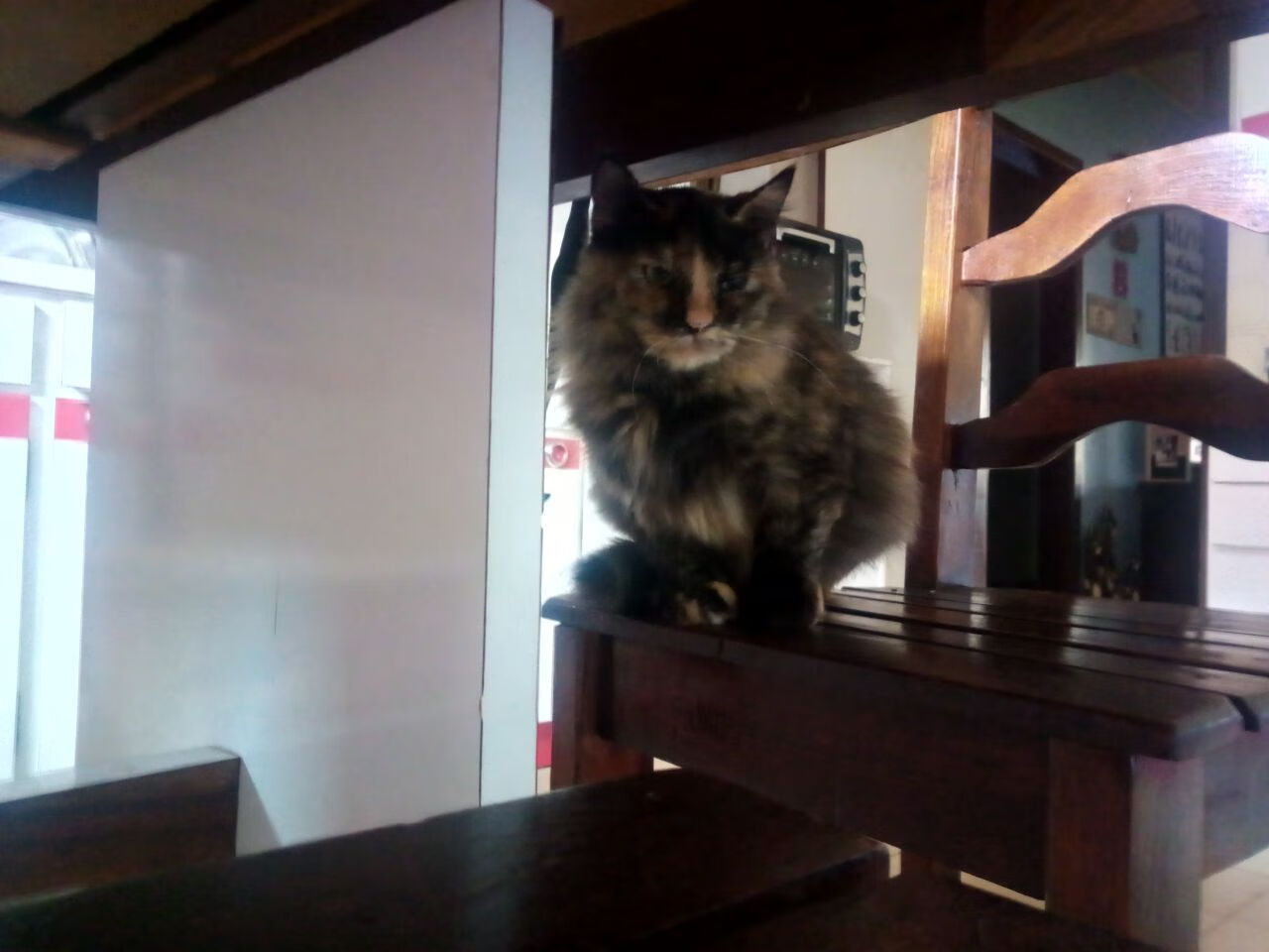 国足青训实现突破 球员技惊四座获得国际关注，国足青训计划