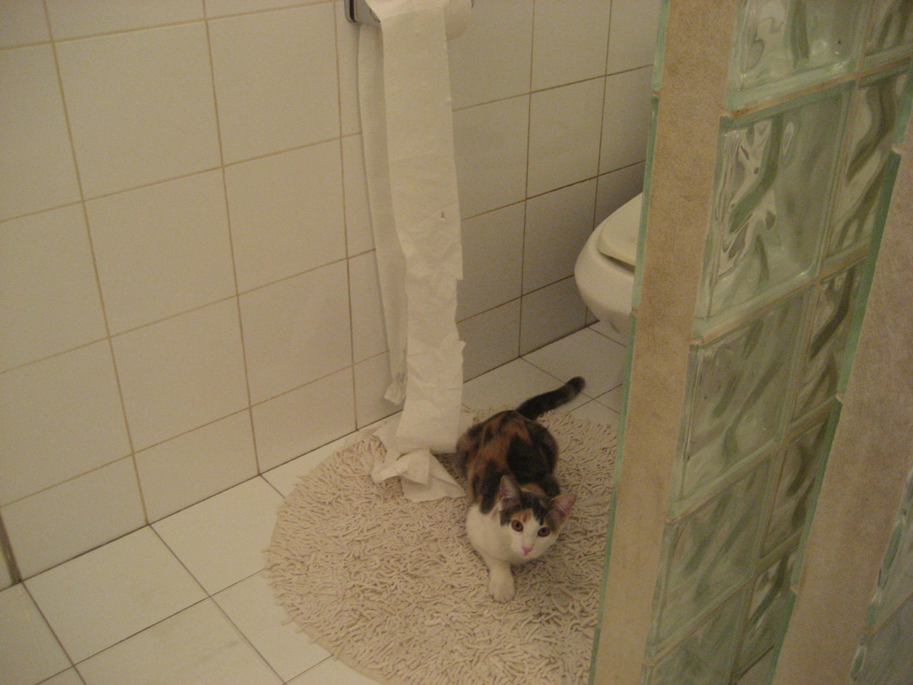 开云网页版-巴西主帅佩雷拉：球队状态回升，目标争夺世界杯冠军，巴西门将佩雷斯