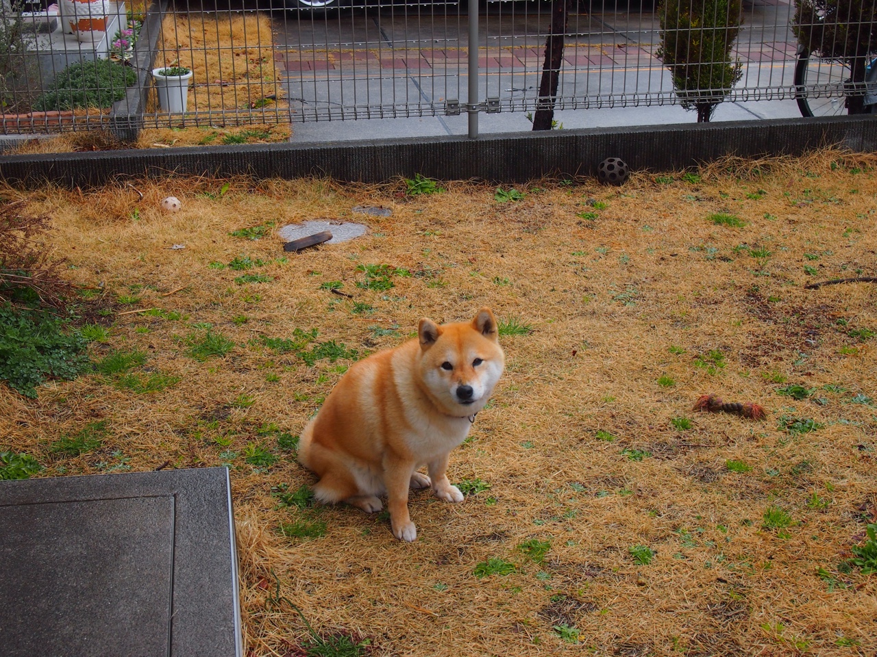 巴萨客场险胜,梅西上演帽子戏法,巴萨球迷 梅西