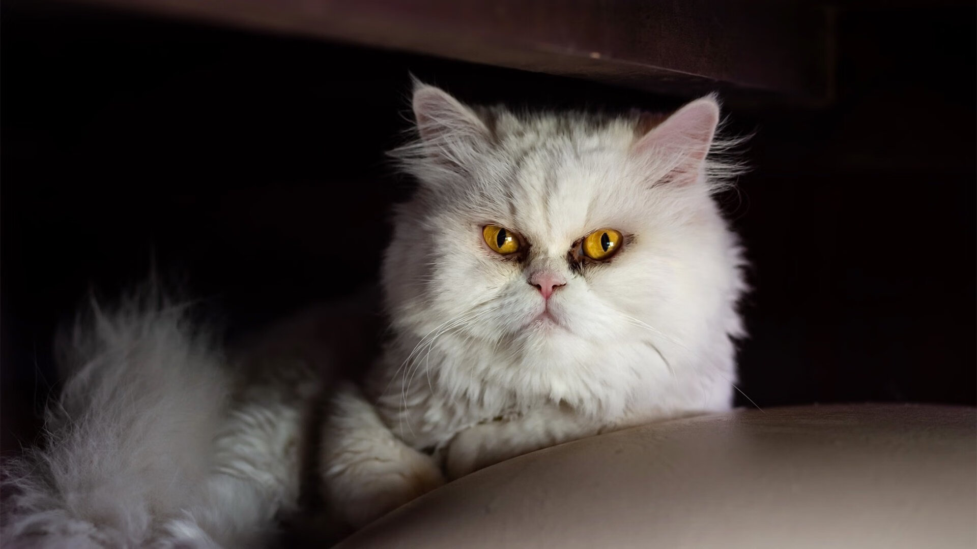 开云官方网站-挪威篮球职业联赛办成年度巡回，各地举办激烈对抗，挪威联赛冠军