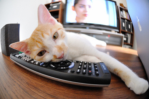 kaiyun官方网站-水晶宫前锋扎哈尔草莽突破，吊射破网，英超水晶宫扎哈