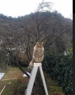 开云平台-精彩绝伦的比赛中让球迷们尽享视觉盛宴，球赛很精彩