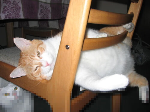 🧬 技术创新与科研突破