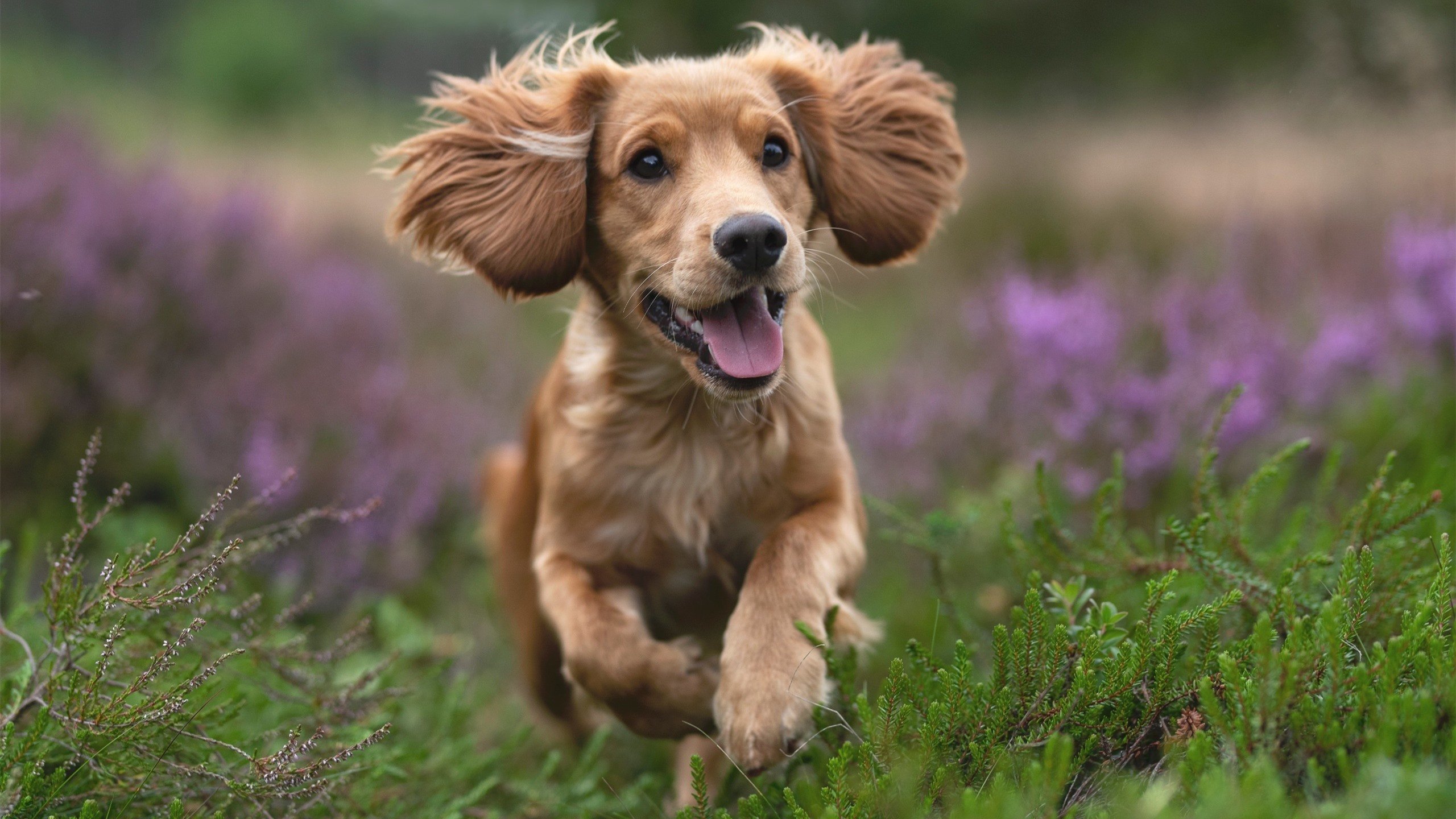 全国青少年足球挑战赛足球氛围火热，2020全国青少年足球联赛