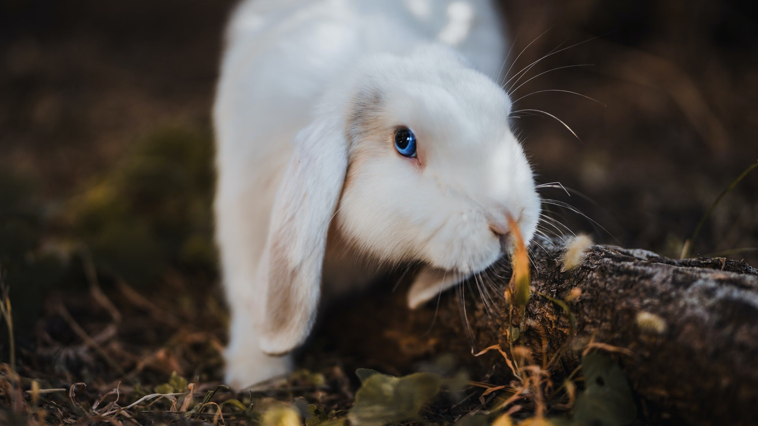 全国青少年足球挑战赛足球氛围火热，2020全国青少年足球联赛