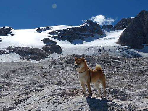 体育新闻中心深化体育原创视频数字版权保护措施,体育频道版权