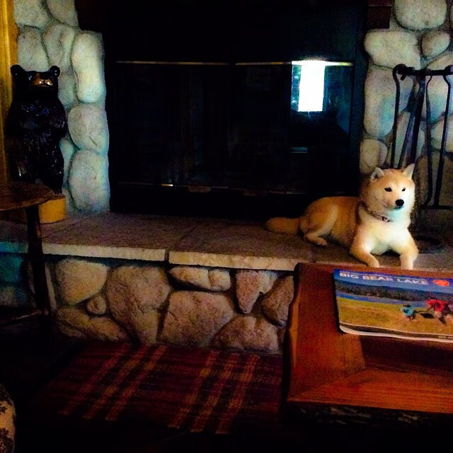 德国队如何应对国际乒联混合团体世界杯新赛制?,国际乒联世界巡回赛 德国公开赛男单