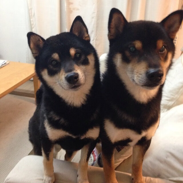 开云官方-比赛节奏是否与比赛观赏性存在直接联系，比赛分为三个环节