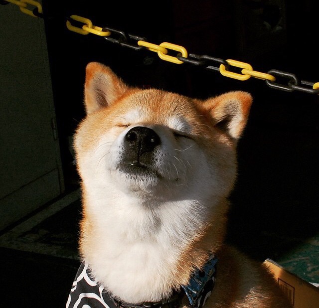 开云中国-仰泳王牌 Hubert Kós 再刷200米背泳欧罗巴纪录