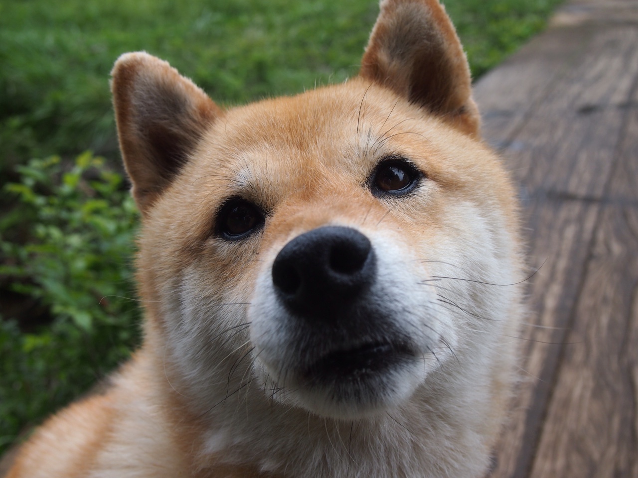 Kaiyun官方登录入口-克莱尔·柯尔赞展现新生代仰泳实力，yy克莱尔