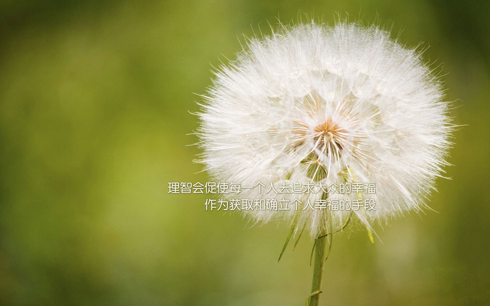 巴西女篮在拉丁美洲锦标赛中夺冠,继续巩固区域霸主地位