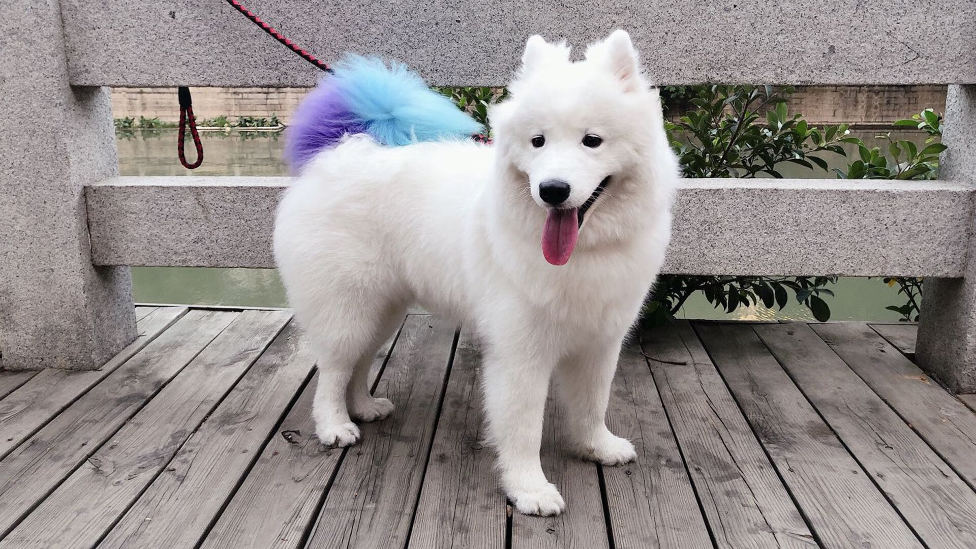 西甲球队的海外市场运营策略，西甲 球队