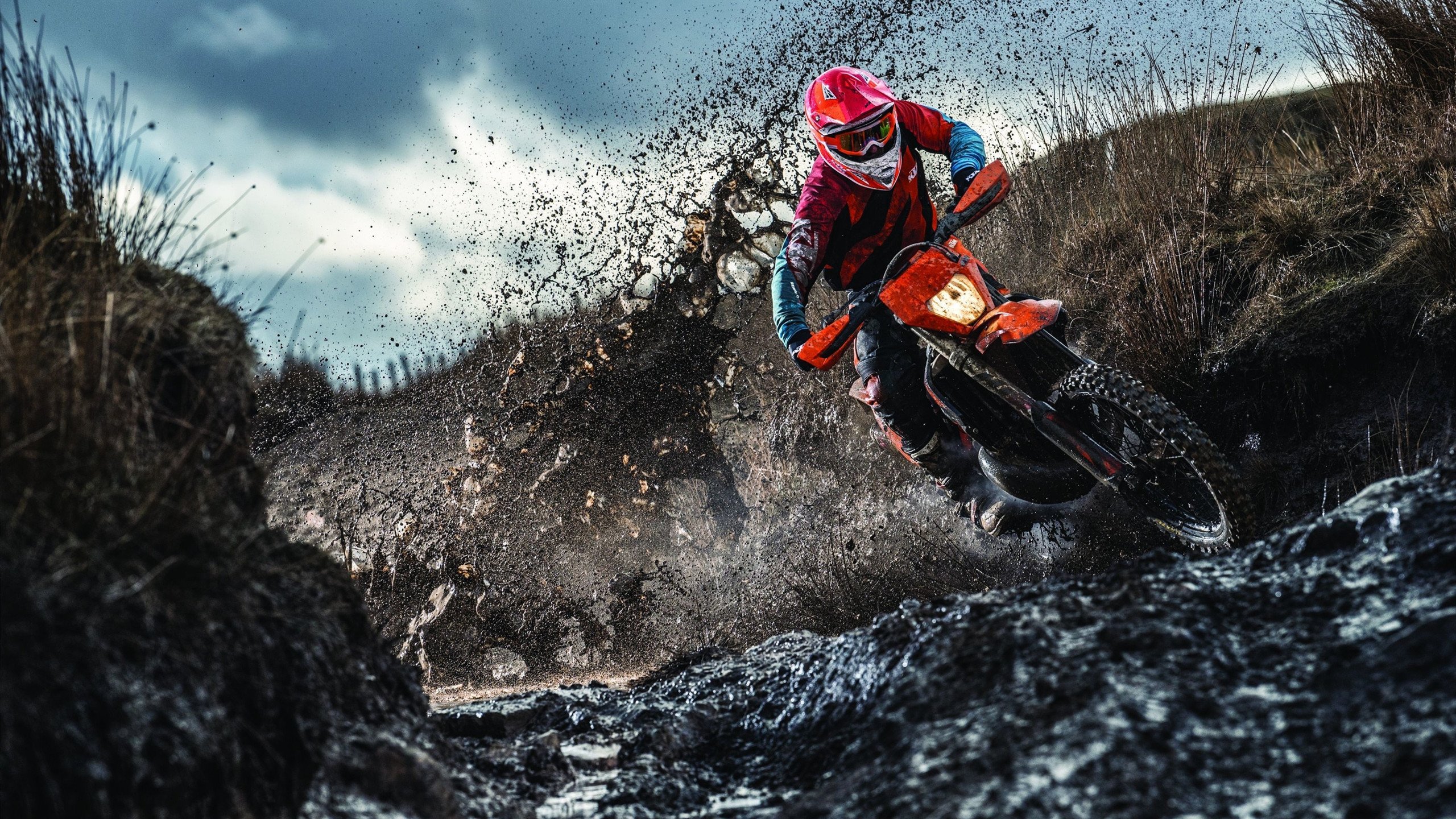 WRC意大利站:沿海公路的速度与美景共舞,意大利wkr